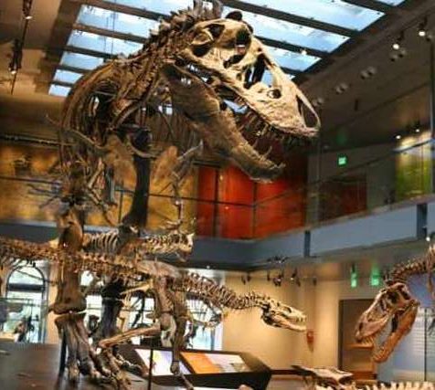 Museus